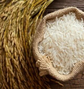 Conab anuncia queda do preço do arroz até final de setembro