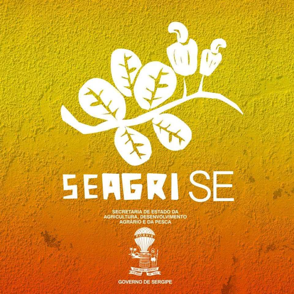 SEAGRI anuncia prazo para licitação de produtos alimentícios em Sergipe