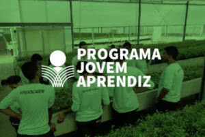 Abapa, Sistema Senar/Faeb e Sindicatos criam o programa Jovem Aprendiz Rural