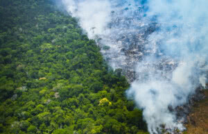 Aumento das queimadas na Amazônia