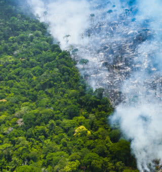 Aumento das queimadas na Amazônia