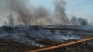 Incêndio atinge Espaço Alternativo em Porto Velho pelo 3º dia seguido