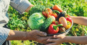 Conheça o Projeto que Garante Alimentos à Famílias de Baixa Renda