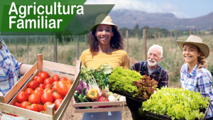 Como receber Cesta Verde e ser Beneficiado com Alimentos 100% Gratuitos