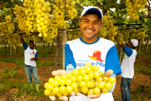 Programa Chapéu de Palha: Como funciona o programa para Trabalhadores Rurais