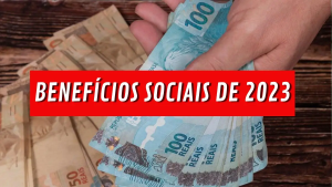 Benefícios Sociais 2023: O que são, Tipos e Como Consultar